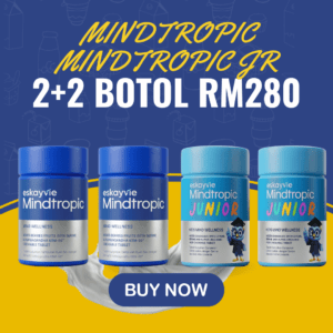 2 Mindtropic dan 2 Mindtropic JR